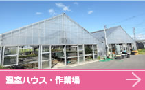 温室ハウス・作業場